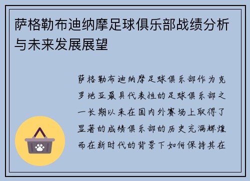 萨格勒布迪纳摩足球俱乐部战绩分析与未来发展展望